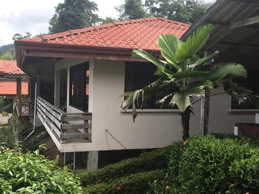 Many'S House Hotel Ballena Bagian luar foto