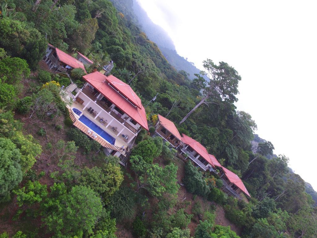 Many'S House Hotel Ballena Bagian luar foto